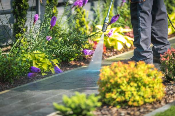 Reliable Greenfield, CA Pressure Washing Services Solutions